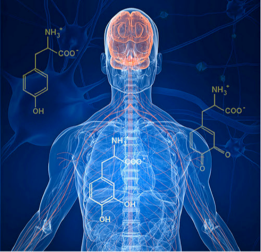 Effets nocifs des produits chimiques sur le corps humain