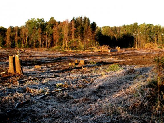 Effets du réchauffement climatique