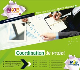 [M2BA_Sskills_100] Project coordination